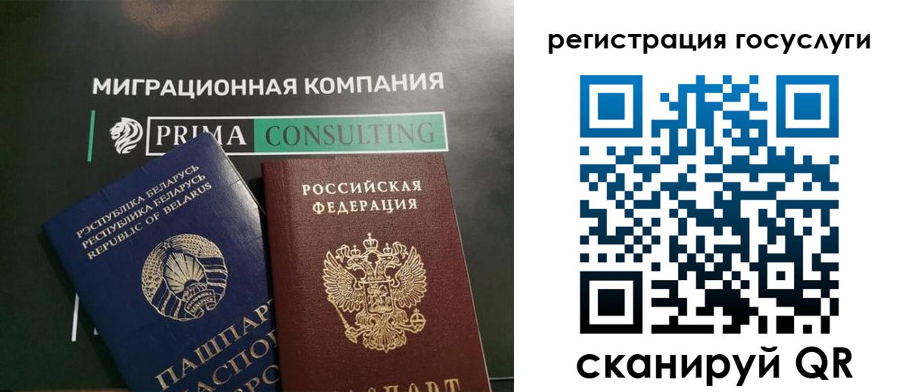 прописка гарантия в Ельне